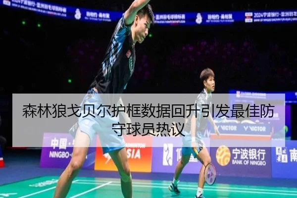 森林狼戈贝尔护框数据回升引发最佳防守球员热议
